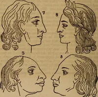 An illustration from Coombs' popular phrenology: (1865)