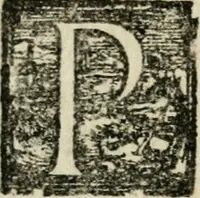 An illustration from Copia d'vna lettera che narra minvtamente la entrata fatta dall'illustrissimo duca Ottauio Farnese, nella magnifica città di Piacenza (1556)