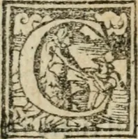 An illustration from Copia d'vna lettera che narra minvtamente la entrata fatta dall'illustrissimo duca Ottauio Farnese, nella magnifica città di Piacenza (1556)