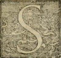 An illustration from Copia d'vna lettera che narra minvtamente la entrata fatta dall'illustrissimo duca Ottauio Farnese, nella magnifica città di Piacenza (1556)