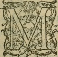 An illustration from Copie d'vne lettre escrite de Rome par vn des hvissiers de chambre de Monseigneur le duc de Neuers à vn sien amy, touchant les ceremonies faites à l'entrée dudit seigneur duc en la ville de Rome, le vingt-cinquiesme nouembre mil six cens huict (1609)