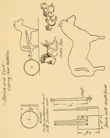 Picture 7 of 11 from Coping saw work (1909), leaf 19