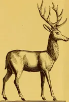 An illustration from Copper weather vanes. (1921)