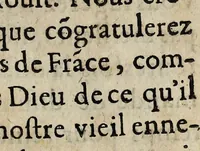 An illustration from Coppie d'vne lettre escripte par le Roy de Nauarre surprinse au corrier à Pontallier à Montaigne, aux illustrissimes seigneurs de la republicque de Berne. (1589)