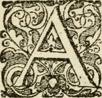 An illustration from Cornelii Giselberti Plempii Amsterodamum monogrammon (1616)