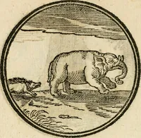 An illustration from Cornelii Giselberti Plempii Amsterodamum monogrammon (1616)