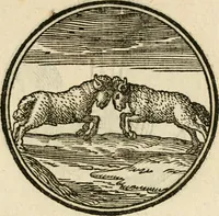 Picture 31 of 58 from Cornelii Giselberti Plempii Amsterodamum monogrammon (1616), leaf 158