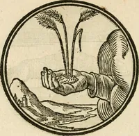 Picture 32 of 58 from Cornelii Giselberti Plempii Amsterodamum monogrammon (1616), leaf 159