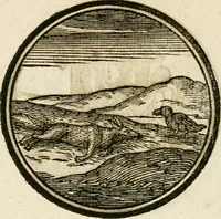 Picture 44 of 58 from Cornelii Giselberti Plempii Amsterodamum monogrammon (1616), leaf 171