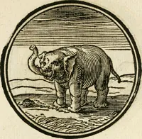 Picture 47 of 58 from Cornelii Giselberti Plempii Amsterodamum monogrammon (1616), leaf 174