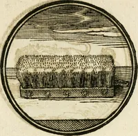 Picture 49 of 58 from Cornelii Giselberti Plempii Amsterodamum monogrammon (1616), leaf 176