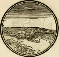 Picture 52 of 58 from Cornelii Giselberti Plempii Amsterodamum monogrammon (1616), leaf 179