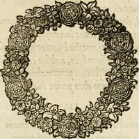 Picture 57 of 58 from Cornelii Giselberti Plempii Amsterodamum monogrammon (1616), leaf 184