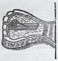An illustration from Corona e palma militare di artiglieria et fortificationi : nellaquale si tratta dell'inuentione di essa, e dell'operare nelle fattioni da terra e mare, fuochi artificiati da giuoco e guerra, & d'vn nuouo instrumento per misurare distanze : con vn trattato della fortificatione moderna, e delli errori scoperti nelle fortezze antiche : tutto à proposito per detto essercitio dell'artiglieria, con dissegni apparenti & intelligibili (1647)