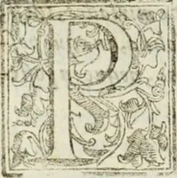 Picture 26 of 81 from Corona imperiale dell' architettura militare (1618), leaf 303