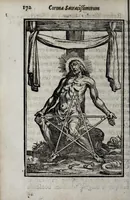 Picture 4 of 5 from Corona sacratissimorum Iesu Christi vulnerum : XXXV considerationibus ex sacra scriptura, sanctis patribus, historia ecclesiastica potissimum desumptis illustrata (1649), leaf 204