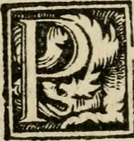 An illustration from Coronatio Caroli V caesaris avg. apvd Aqvisgranvm (1550)