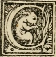 An illustration from Coronatio Caroli V caesaris avg. apvd Aqvisgranvm (1550)