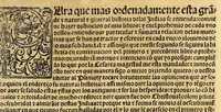 An illustration from Coronica delas Indias. La hystoria general de las Indias agora nueuamente impressa corregida y emendada. 1547 : y con la conquista del Peru (1547)