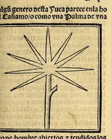 Picture 12 of 29 from Coronica delas Indias. La hystoria general de las Indias agora nueuamente impressa corregida y emendada. 1547 : y con la conquista del Peru (1547), leaf 159