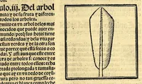 Picture 14 of 29 from Coronica delas Indias. La hystoria general de las Indias agora nueuamente impressa corregida y emendada. 1547 : y con la conquista del Peru (1547), leaf 175
