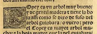 Picture 15 of 29 from Coronica delas Indias. La hystoria general de las Indias agora nueuamente impressa corregida y emendada. 1547 : y con la conquista del Peru (1547), leaf 179