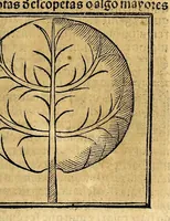 Picture 16 of 29 from Coronica delas Indias. La hystoria general de las Indias agora nueuamente impressa corregida y emendada. 1547 : y con la conquista del Peru (1547), leaf 179