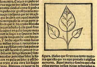 An illustration from Coronica delas Indias. La hystoria general de las Indias agora nueuamente impressa corregida y emendada. 1547 : y con la conquista del Peru (1547)
