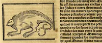 An illustration from Coronica delas Indias. La hystoria general de las Indias agora nueuamente impressa corregida y emendada. 1547 : y con la conquista del Peru (1547)