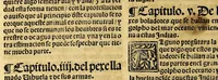 An illustration from Coronica delas Indias. La hystoria general de las Indias agora nueuamente impressa corregida y emendada. 1547 : y con la conquista del Peru (1547)