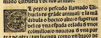 An illustration from Coronica delas Indias. La hystoria general de las Indias agora nueuamente impressa corregida y emendada. 1547 : y con la conquista del Peru (1547)