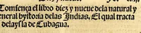 An illustration from Coronica delas Indias. La hystoria general de las Indias agora nueuamente impressa corregida y emendada. 1547 : y con la conquista del Peru (1547)