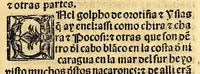 An illustration from Coronica delas Indias. La hystoria general de las Indias agora nueuamente impressa corregida y emendada. 1547 : y con la conquista del Peru (1547)