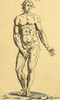 An illustration from Corporis humani anatomia : in qua omnia tam veterum, quam recentiorum anatomicarum inventa methodo novâ & intellectu facillimâ describuntur, ac tabulis aeneis repraesentantur (1693)