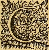 An illustration from Corporis humani anatomia : in qua omnia tam veterum, quam recentiorum anatomicarum inventa methodo novâ & intellectu facillimâ describuntur, ac tabulis aeneis repraesentantur (1693)