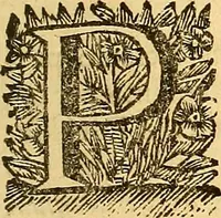 An illustration from Corporis humani anatomia : in qua omnia tam veterum, quam recentiorum anatomicarum inventa methodo novâ & intellectu facillimâ describuntur, ac tabulis aeneis repraesentantur (1693)