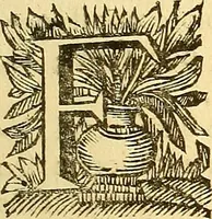 Picture 8 of 47 from Corporis humani anatomia : in qua omnia tam veterum, quam recentiorum anatomicarum inventa methodo novâ & intellectu facillimâ describuntur, ac tabulis aeneis repraesentantur (1693), leaf 22