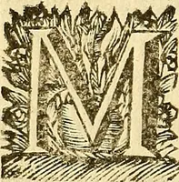 Picture 39 of 47 from Corporis humani anatomia : in qua omnia tam veterum, quam recentiorum anatomicarum inventa methodo novâ & intellectu facillimâ describuntur, ac tabulis aeneis repraesentantur (1693), leaf 315