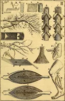 An illustration from Corporis humani anatomia : in qua omnia tam veterum, quam recentiorum anatomicarum inventa methodo novâ & intellectu facillimâ describuntur, ac tabulis aeneis repraesentantur (1693)