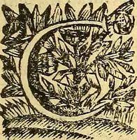 An illustration from Corporis humani anatomia : in qua omnia tam veterum, quam recentiorum anatomicarum inventa methodo novâ & intellectu facillimâ describuntur, ac tabulis aeneis repraesentantur (1693)