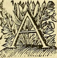 Picture 10 of 47 from Corporis humani anatomia : in qua omnia tam veterum, quam recentiorum anatomicarum inventa methodo novâ & intellectu facillimâ describuntur, ac tabulis aeneis repraesentantur (1693), leaf 42