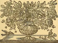Picture 14 of 47 from Corporis humani anatomia : in qua omnia tam veterum, quam recentiorum anatomicarum inventa methodo novâ & intellectu facillimâ describuntur, ac tabulis aeneis repraesentantur (1693), leaf 82