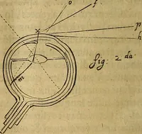 Picture 25 of 27 from Corporis humani disquisitio anatomica : in qua sanguinis circulationem in quavis corporis particula plurimis typis novis (1651), leaf 257