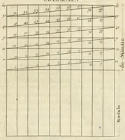 An illustration from Cort onderwys van de vyf colomen