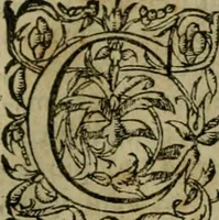 Picture 7 of 96 from Cosmographia Petri Apiani (1564), leaf 10
