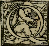 An illustration from Cosmographia Petri Apiani (1564)