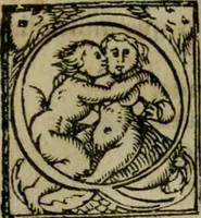 An illustration from Cosmographia Petri Apiani (1564)