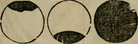 Picture 31 of 96 from Cosmographia Petri Apiani (1564), leaf 29