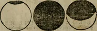 Picture 32 of 96 from Cosmographia Petri Apiani (1564), leaf 29