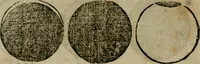 Picture 37 of 96 from Cosmographia Petri Apiani (1564), leaf 31